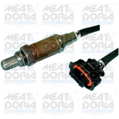 Oxygen Sensor